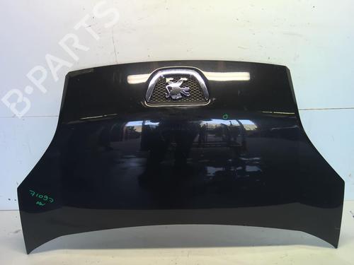 Used Hood PEUGEOT BIPPER Tepee 1.3 HDi 75 (75 hp) 21899783