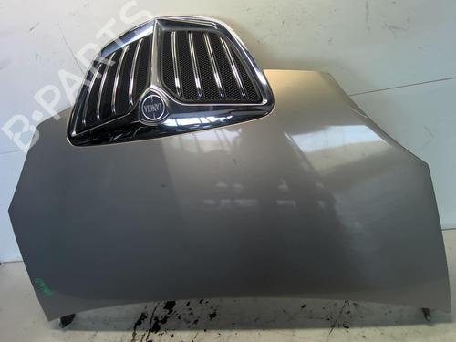 Used Hood LANCIA MUSA (350_) 1.3 D Multijet (350.AXG11, 350.AXG1A) (90 hp) 18209654