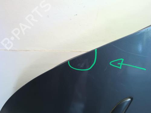 Right rear door RENAULT CLIO III Grandtour (KR0/1_) 1.5 dCi | BP18877161C5