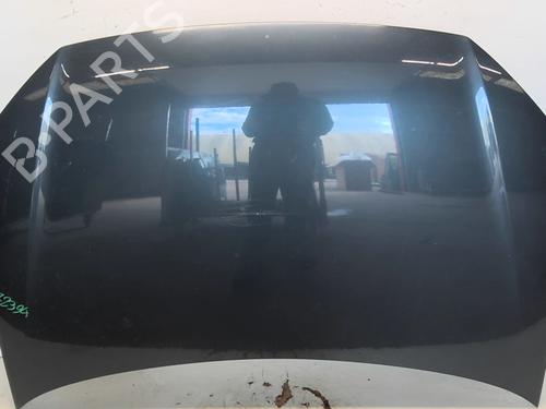 Used Hood VW POLO IV (9N_, 9A_) 1.4 TDI (70 hp) 24553111