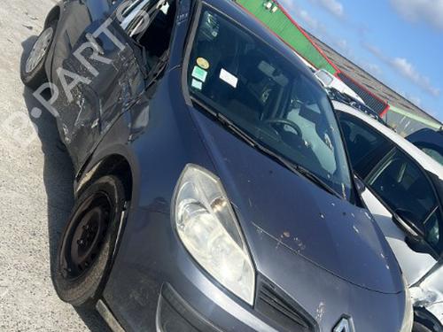 Right rear door RENAULT CLIO III (BR0/1, CR0/1) 1.5 dCi (C/BR0G, C/BR1G) | BP20724086C5 