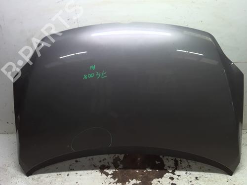 Used Hood VW GOLF PLUS V (5M1, 521) 1.9 TDI (105 hp) 30459747