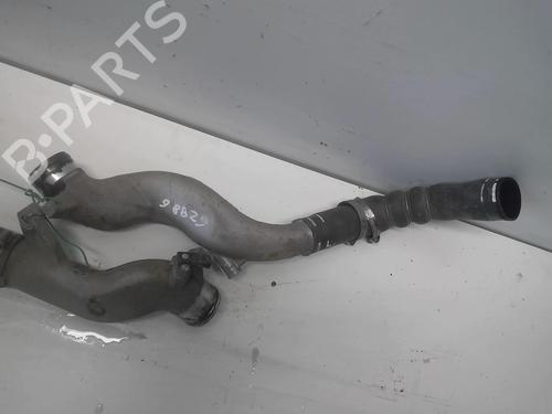 Pipe NISSAN CABSTAR (F24M, F24W) 35.14 DCI, 45.14 DCI 2.5 (F24M) | BP18220759M125 