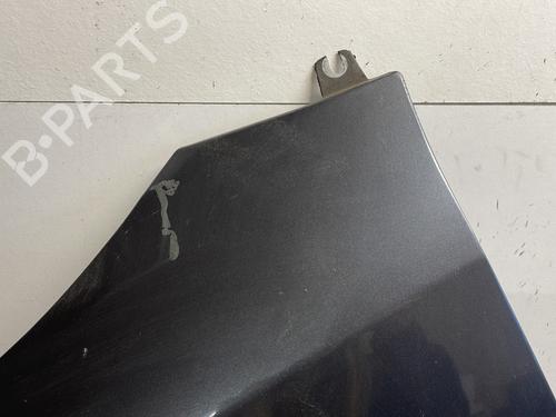 Left front fenders SKODA FABIA II (542) 1.6 TDI | BP26706106C41