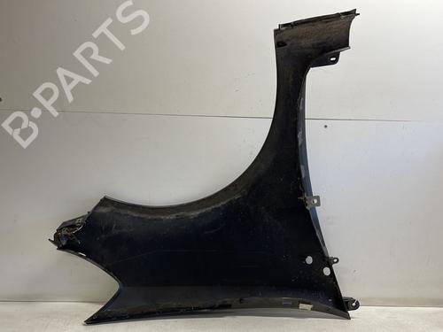 Left front fenders RENAULT CLIO III (BR0/1, CR0/1) 1.4 16V | BP25346593C41