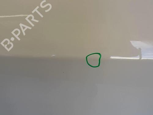 Left front door FIAT GRANDE PUNTO (199_) 1.2 | BP18211473C2 