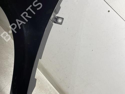 Left front fenders RENAULT CLIO III (BR0/1, CR0/1) 1.5 dCi (BR17, CR17) | BP29744582C41 