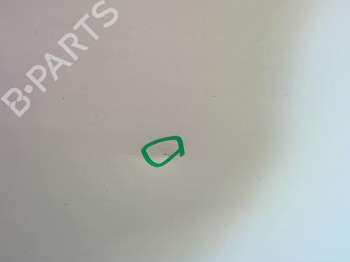 Right front door NISSAN PRIMASTAR Van (X83) 1.9 dCi 100 | BP27585566C3 