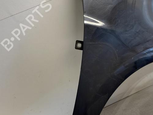 Right front fenders RENAULT CLIO III (BR0/1, CR0/1) 1.5 dCi (BR17, CR17) | BP26894395C42 