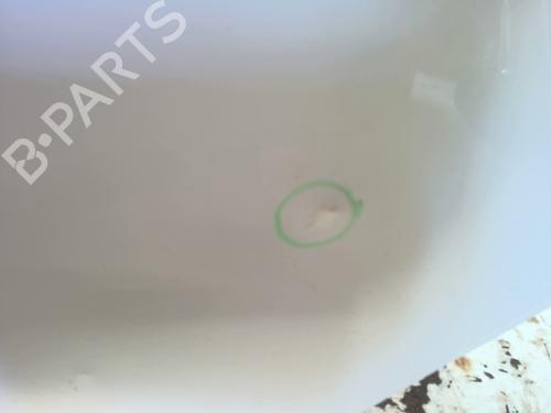 Left rear door RENAULT MEGANE III Hatchback (BZ0/1_, B3_) 1.5 dCi (BZ09, BZ0D, BZ1W, BZ29, BZ14) | BP29342191C4 