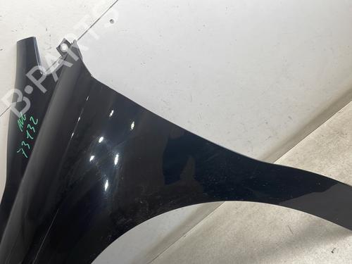 Left front fenders CITROËN C4 II (NC_) 1.6 HDi 115 | BP29544021C41 