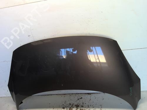 Hood RENAULT SCÉNIC III (JZ0/1_) 1.6 dCi (JZ00, JZ12) | BP26574041C1