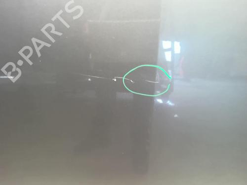 Hood RENAULT MEGANE III Hatchback (BZ0/1_, B3_) 1.9 dCi (BZ0N, BZ0J) | BP18222511C1 