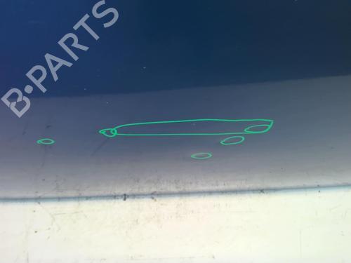 Puerta delantera derecha VW NEW BEETLE (9C1, 1C1) 1.9 TDI | BP18213699C3 
