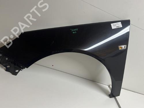 Left front fenders OPEL INSIGNIA A Sports Tourer (G09) 2.0 CDTI (35) | BP18484133C41 