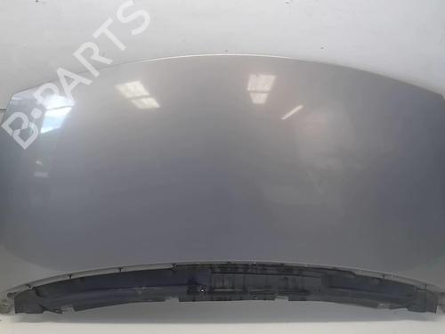 Panser RENAULT ESPACE IV (JK0/1_) 2.2 dCi (JK0H) (150 hp) 18211417
