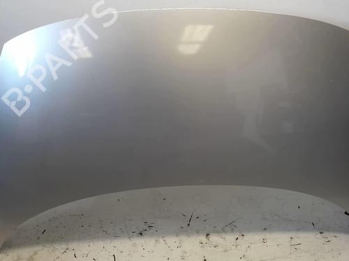 Used Hood RENAULT SCÉNIC III (JZ0/1_) 1.9 dCi (JZ0J, JZ1J, JZ1K, JZ1S) (131 hp) 18218747