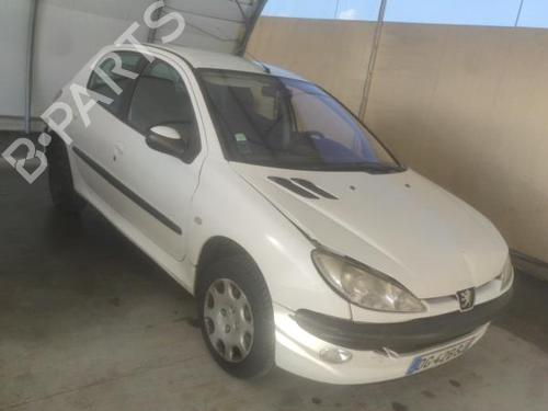 Left front door PEUGEOT 206 Hatchback (2A/C) 1.4 HDi eco 70 | BP18208419C2 