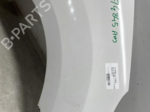 right-front-fenders-citroen-c3-ii-sc_-2009-33118148 main image