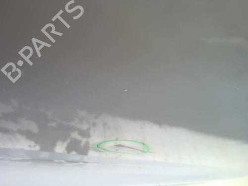 Left front door FORD KA (RU8) 1.2 | BP25867374C2 