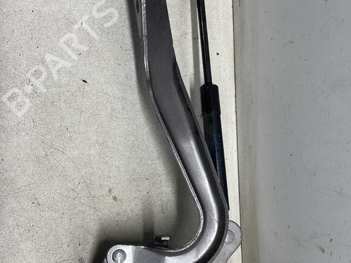 Hinge/Door check strap RENAULT SCÉNIC III (JZ0/1_) 1.5 dCi | BP26156605C146 