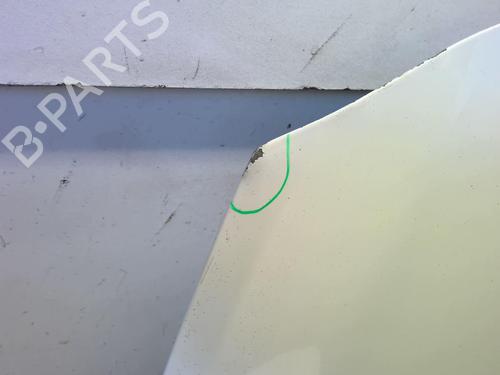 Used Hood RENAULT CLIO III (BR0/1, CR0/1) 1.5 dCi (C/BR0G, C/BR1G) (68 hp) 18226762