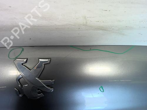 Used Tailgate PEUGEOT 207 CC (WD_) 1.6 HDi (109 hp) 18222477