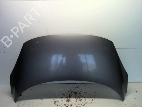 Used Hood RENAULT SCÉNIC III (JZ0/1_) 1.5 dCi (106 hp) 18332412