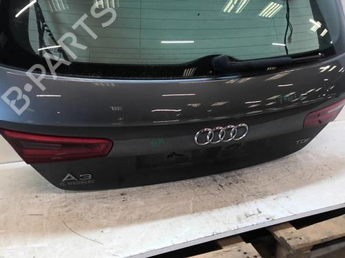 Used Tailgate Tailgate AUDI A3 (8V1, 8VK) 1.6 TDI (105 hp) 33849922 33849922