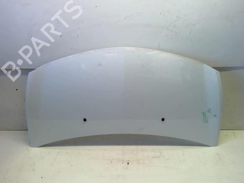 Used Hood RENAULT CLIO III (BR0/1, CR0/1) 1.2 16V (BR02, BR0J, BR11, CR02, CR0J, CR11) (75 hp) 18231039
