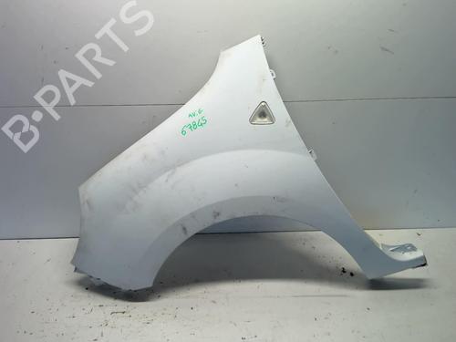 Left front fenders RENAULT KANGOO Express (FW0/1_) 1.5 dCi 90 (FW0G, FW05, FW08, FW11) | BP18219494C41 