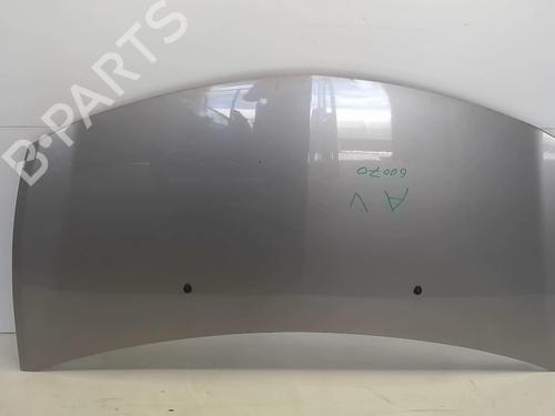 Used Hood RENAULT CLIO III (BR0/1, CR0/1) 1.5 dCi (C/BR0G, C/BR1G) (68 hp) 18225071