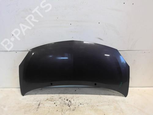 hood-renault-twingo-ii-cn0_-2007-30900011 main image