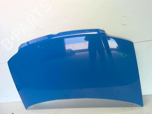 Hood FIAT PANDA (169_) 1.3 D Multijet (169.AXC1A) | BP18210000C1 