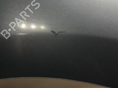 Used Right front fenders RENAULT SCÉNIC III (JZ0/1_) 1.5 dCi (JZ02, JZ0R) (95 hp) 18214224
