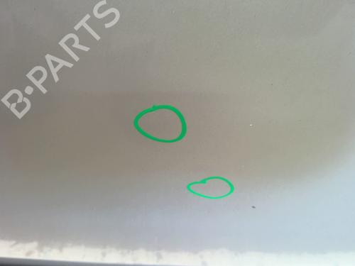 Left front door LAND ROVER DISCOVERY III (L319) 2.7 TD 4x4 | BP24508188C2 
