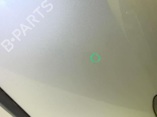 Left rear door RENAULT CLIO III (BR0/1, CR0/1) 1.5 dCi (C/BR0G, C/BR1G) | BP18213036C4 
