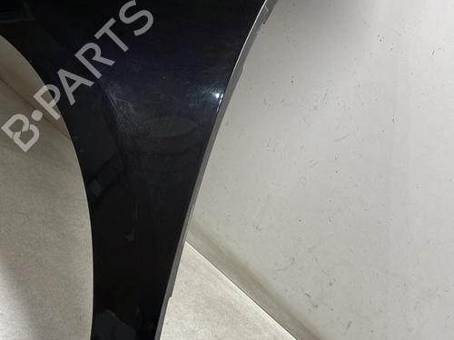 Left front fenders RENAULT LAGUNA Coupe (DT0/1) 2.0 dCi (DT01, DT08, DT09, DT0K, DT12, DT1C, DT1D, DT1M,... | BP29174123C41 