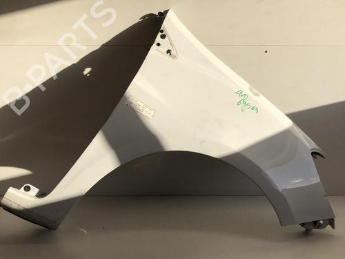 Right front fenders RENAULT CLIO III (BR0/1, CR0/1) 1.5 dCi | BP18224228C42 