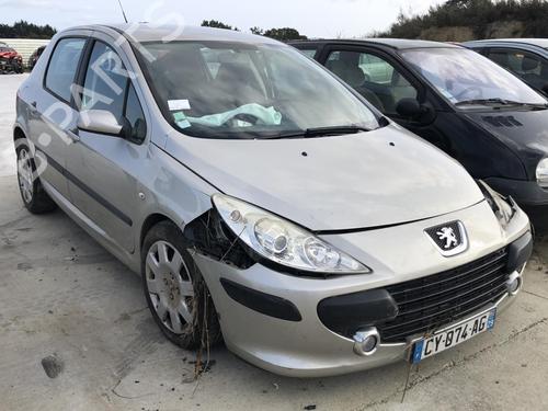 Tailgate PEUGEOT 307 (3A/C) 1.6 HDi 110 | BP18209925C6 