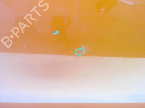 Left front door CITROËN C3 Pluriel (HB_) 1.4 HDi | BP18227468C2 