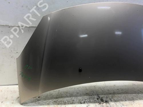 hood-citroen-c3-ii-sc_-2009-31981542 main image