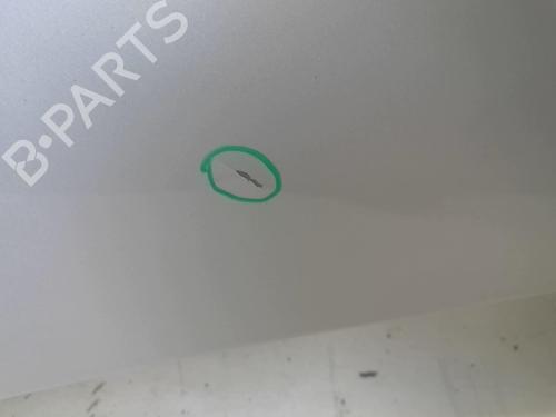 Hood RENAULT CLIO III (BR0/1, CR0/1) 1.5 dCi (BR17, CR17) | BP18214406C1 