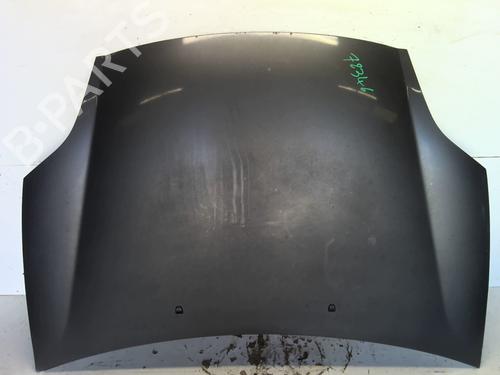 Used Hood FIAT BRAVO II (198_) 1.9 D Multijet (198AXB1A) (120 hp) 24314267