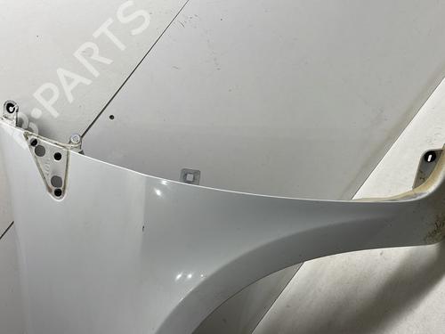 Left front fenders RENAULT CLIO III (BR0/1, CR0/1) 1.5 dCi (C/BR0G, C/BR1G) | BP24032487C41 