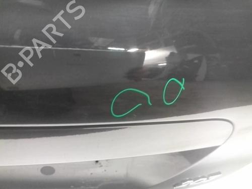 Used Tailgate PEUGEOT 207 (WA_, WC_) 1.6 HDi (90 hp) 18218122