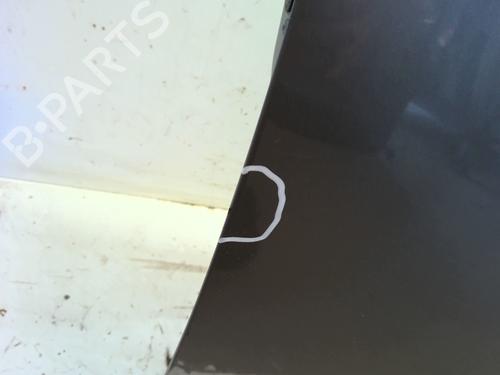 Right front door RENAULT GRAND SCÉNIC III (JZ0/1_) 1.5 dCi (JZ09, JZ0D, JZ10, JZ14, JZ1G, JZ29, JZ2C) | BP29615317C3 