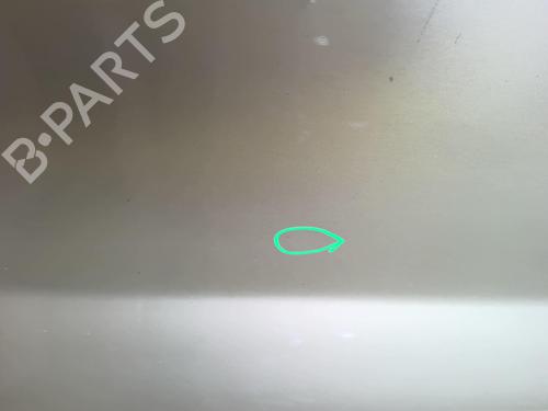 Left front door RENAULT TRAFIC II Van (FL) 2.0 dCi 115 (FL01, FL0U, FL00, FL0H, FL0M) | BP18230201C2 