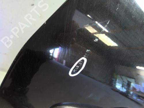 Right front door RENAULT MEGANE III Coupe (DZ0/1_) 1.4 TCe (DZ0F, DZ1V) | BP29596996C3