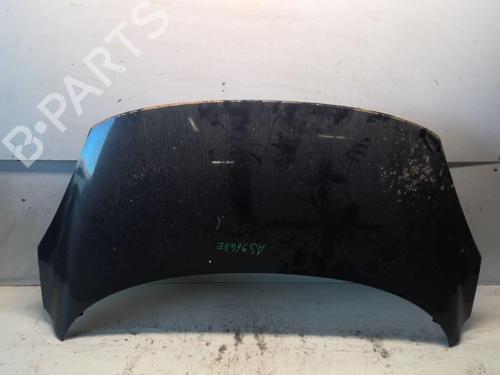 Used Hood RENAULT SCÉNIC III (JZ0/1_) 1.5 dCi (106 hp) 18208306